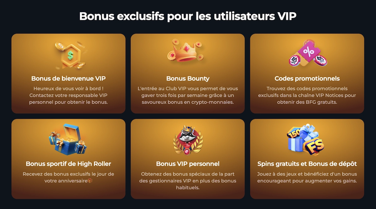 bonus exclusifs du programme VIP de Betfury