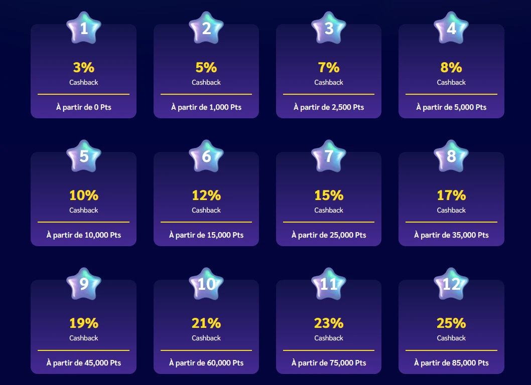"Grille des niveaux de fid&eacute;lit&eacute; Shiny Wilds avec pourcentages de cashback de 3 % &agrave; 25 % selon les points.
