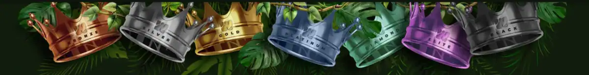 Présentation du programme VIP de Wild Casino avec niveaux Bronze à Black, récompenses exclusives, couronnes symboliques et avantages premium.