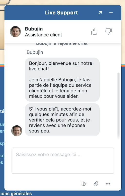 Exemple de conversation sur le live chat du service client Vegasino Casino