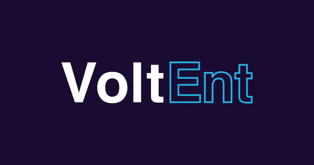 Le logo de VoltEnt, fournisseur de jeux de casino, en lettres blanches sur fond violet foncé.