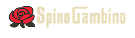 logo de Spinogambino casino sans fond