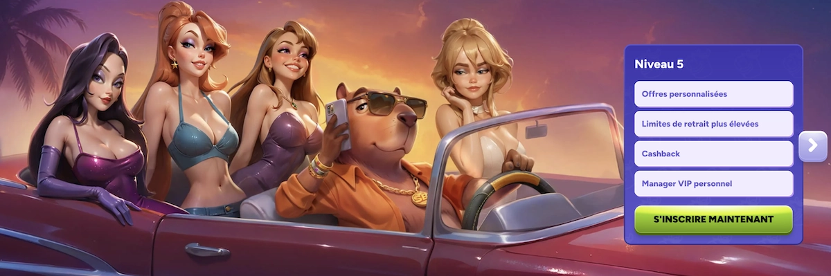 illustration du niveau 5 du programme VIP de Spinbara casino